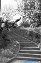 13 Le rail est tordu, Denis aussi en Top Soul